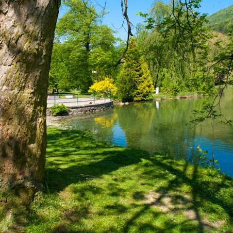 Kúpeľný park