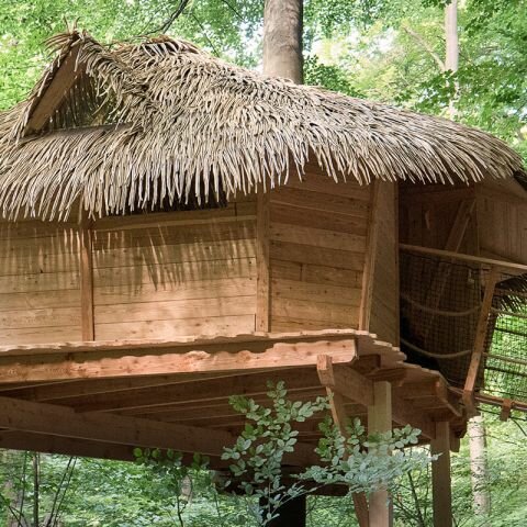 Treehouse